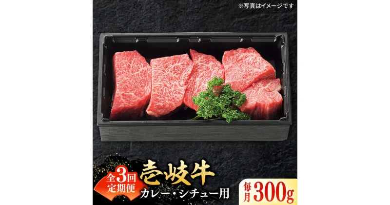 【ふるさと納税】【全3回定期便】 特選 壱岐牛 すね肉 300g（カレー・シチュー用）《壱岐市》【太陽商事】[JDL079] 冷凍配送 黒毛和牛 A5ランク 肉 牛肉 黒毛和牛 ブランド牛 カレー シチュー 赤身 チマキ 煮込み ブロック 国産 九州 お祝い 27000 27000円