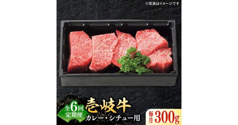 【ふるさと納税】【全6回定期便】 特選 壱岐牛 すね肉 300g（カレー・シチュー用）《壱岐市》【太陽商事】[JDL080] 冷凍配送 黒毛和牛 A5ランク 肉 牛肉 黒毛和牛 ブランド牛 カレー シチュー 赤身 チマキ 煮込み ブロック 国産 九州 お祝い 54000 54000円