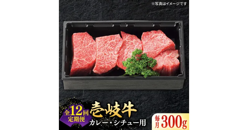 【ふるさと納税】【全12回定期便】 特選 壱岐牛 すね肉 300g（カレー・シチュー用）《壱岐市》【太陽商事】[JDL081] 冷凍配送 黒毛和牛 A5ランク 肉 牛肉 黒毛和牛 ブランド牛 カレー シチュー 赤身 チマキ 煮込み ブロック 国産 お祝い 108000 108000円