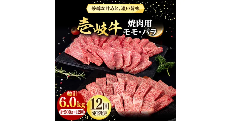 【ふるさと納税】【全12回定期便】 壱岐牛 焼肉用 モモ・バラ（カルビ） 500g《壱岐市》【株式会社イチヤマ】[JFE082] 冷凍配送 黒毛和牛 A5ランク 定期便 肉 牛肉 焼肉 焼き肉 モモ バラ カルビ BBQ 赤身 252000 252000円