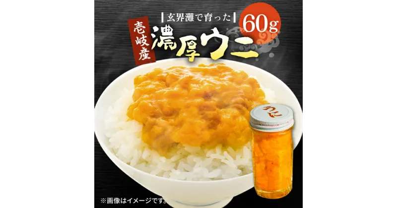 【ふるさと納税】壱岐産 濃厚 ウニ60g《壱岐市》【合同会社塚元】ムラサキウニ 海産物 海鮮 ウニ うに 雲丹 珍味 [JDR021] 15000 15000円 のし プレゼント ギフト 冷凍配送