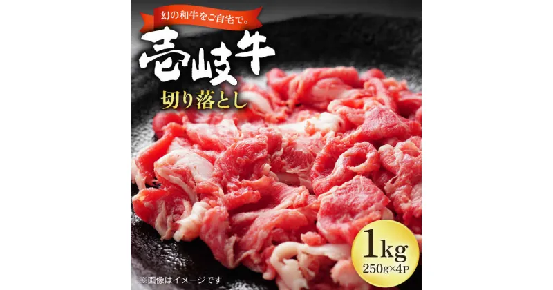 【ふるさと納税】壱岐牛 切り落とし 250g×4パック《壱岐市》【長崎フードサービス】 1キロ 牛肉 牛 精肉 和牛 黒毛和牛 高級 スネ肉 スライス 焼肉 バーベキュー すき焼き 冷凍配送 17000 17000円 [JEP004]