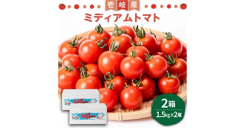 【ふるさと納税】ミディアムトマト バラ 2箱（1.5kg×2種）《壱岐市》【ISLAND FARM】 トマト 生鮮 野菜 夏 21000 21000円 [JFL002] 冷蔵配送