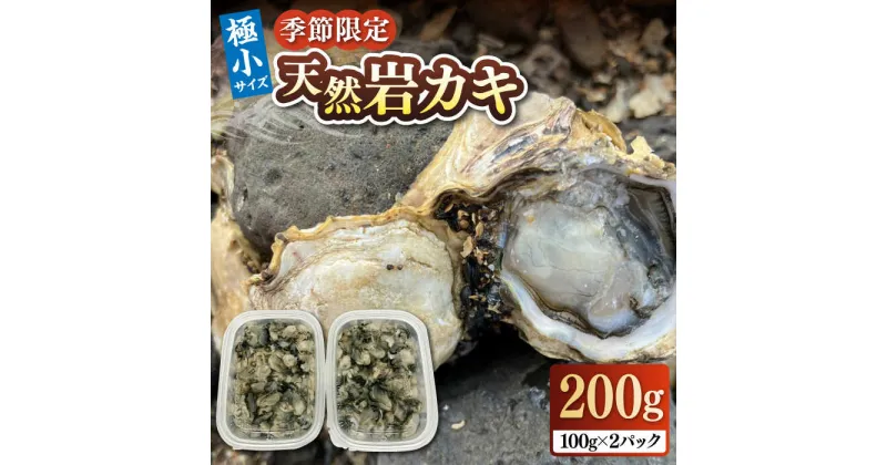 【ふるさと納税】【季節限定】 天然 岩カキ 100g×2パック（生食用）《壱岐市》【鈴の海庭】 牡蠣 カキ 岩牡蠣 貝 魚貝 海産物 おつまみ カキフライ 鍋 カキ鍋 牡蠣鍋 カキ飯 [JFV002] 冷蔵配送