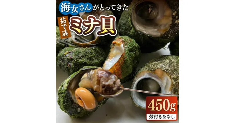 【ふるさと納税】ボイル ミナ貝 450g（殻付き300g・殻剥き150g）《壱岐市》【鈴の海庭】 貝 魚貝 海産物 ボイル 刺身 小分け おつまみ サザエ ニナ貝 シッタカ[JFV001] 冷凍配送