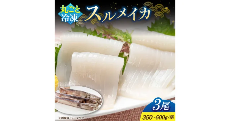 【ふるさと納税】【冷凍】 スルメイカ 3尾（350〜500g/尾）《壱岐市》【馬渡水産】 イカ いか 烏賊 スルメイカ するめ 刺身 刺し身 お刺身 海鮮 魚貝 冷凍配送 産地直送 [JAQ004]