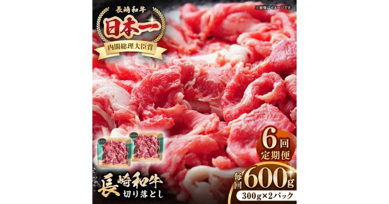 【ふるさと納税】【全6回定期便】長崎和牛 切り落とし 600g（300g×2パック）《壱岐市》【長崎フードサービス】 肉 牛肉 赤身 小分け 国産 切落し 切り落し 冷凍配送[JEP025]