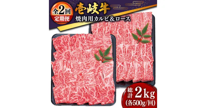 【ふるさと納税】【全2回定期便】壱岐牛焼き肉セット2（ロース 500g・カルビ 500g）[JDD038]