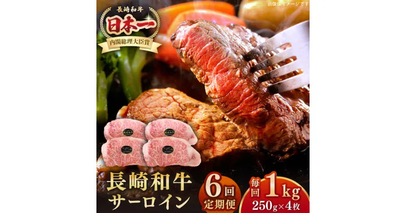 【ふるさと納税】【全6回定期便】長崎和牛 サーロインステーキ 1kg（250g×4枚）《壱岐市》【長崎フードサービス】 肉 牛肉 赤身 国産 冷凍配送[JEP029]