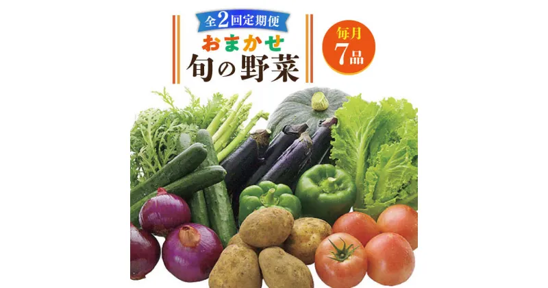 【ふるさと納税】【全2回定期便】旬の野菜セット 7品《壱岐市》【壱岐市農業協同組合】[JBO131] 季節 健康 栄養 やさい 詰め合わせ