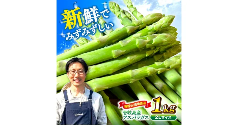 【ふるさと納税】【先行予約】【アスパラガス専門農家が作る！】壱岐産アスパラガス1kg(2Lサイズ)【2025年3月以降順次発送】≪壱岐市≫【きたじま農園】[JGI002]