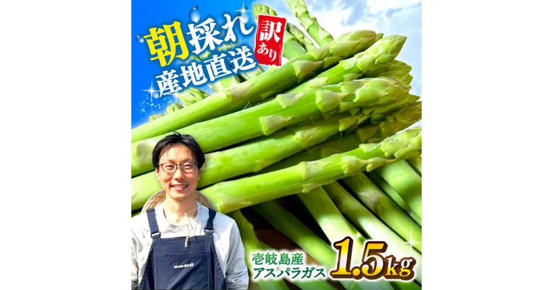 【ふるさと納税】【アスパラガス専門農家が作る！】壱岐産 訳アリ アスパラガス1.5kg≪壱岐市≫【きたじま農園】国産 冷蔵配送 産地直送 朝採れ 新鮮[JGI005]