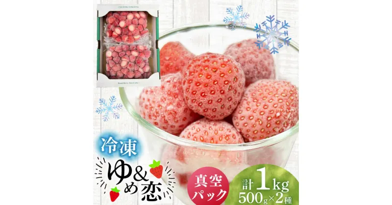 【ふるさと納税】冷凍いちご 1kg『ゆめ恋フローズンセット』《壱岐市》【蒼花】 産地直送 冷凍配送 いちご 苺 フルーツ フローズン 朝食 ゆめのか 恋みのり　[JEO005]