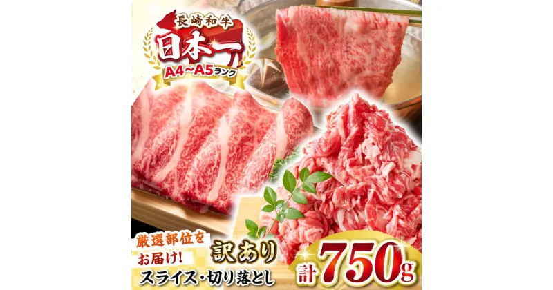 【ふるさと納税】【訳あり】【A4〜A5ランク】 長崎和牛 しゃぶしゃぶ・すき焼きセット 750g《壱岐市》【株式会社MEAT PLUS】 肉 牛肉 黒毛和牛 鍋 ご褒美 冷凍配送 訳あり 切り落とし しゃぶしゃぶ用 すき焼き用 すき焼用 A4 A5 [JGH018]