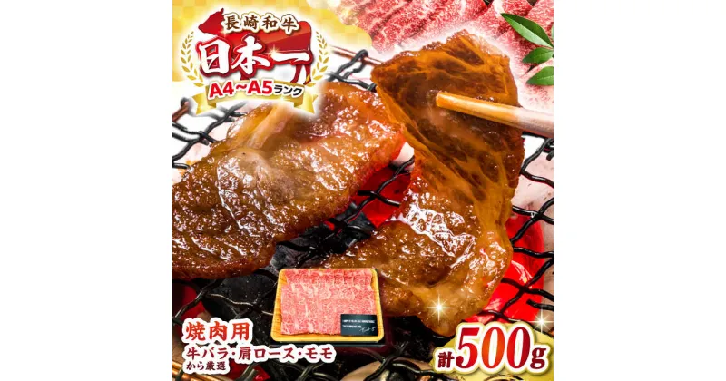 【ふるさと納税】【A4〜A5ランク】長崎和牛焼肉用　500g《壱岐市》【株式会社MEAT PLUS】 肉 牛肉 黒毛和牛 焼き肉 焼肉 焼肉用 ギフト 贈答用 ご褒美 冷凍配送 A4 A5 [JGH019]