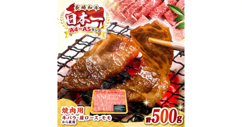 【ふるさと納税】【訳あり】【A4〜A5ランク】長崎和牛 焼肉切り落とし 500g (肩ロース・バラ）《壱岐市》【株式会社MEAT PLUS】 肉 牛肉 黒毛和牛 焼き肉 焼肉 焼肉用 ギフト 贈答用 ご褒美 冷凍配送 A4 A5 [JGH021]