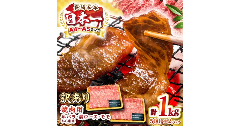 【ふるさと納税】【訳あり】【A4〜A5ランク】長崎和牛 焼肉切り落とし 1kg（500g×2パック）(肩ロース・バラ）《壱岐市》【株式会社MEAT PLUS】 肉 牛肉 黒毛和牛 焼き肉 焼肉 焼肉用 ギフト 贈答用 ご褒美 冷凍配送 A4 A5 [JGH022]