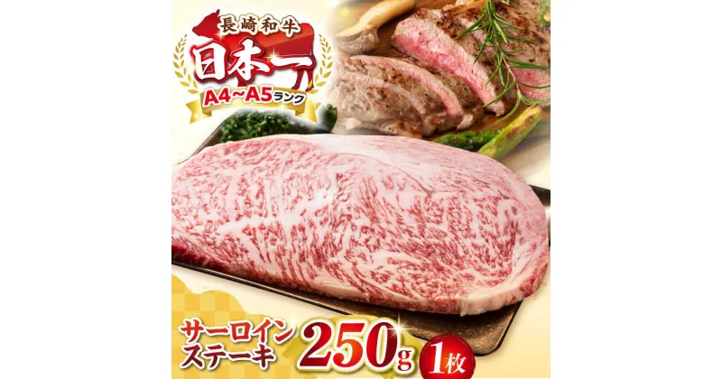 【ふるさと納税】【A4〜A5ランク】長崎和牛 サーロインステーキ 250g（250g×1枚）《壱岐市》【株式会社MEAT PLUS】 肉 牛肉 黒毛和牛 サーロイン ステーキ ご褒美 ギフト 贈答用 ご褒美 冷凍配送 A4 A5 [JGH023]