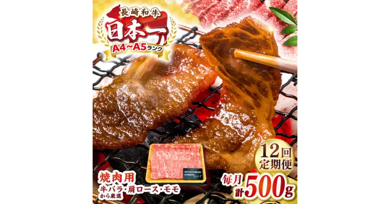 【ふるさと納税】【全12回定期便】【A4〜A5ランク】長崎和牛焼肉用　500g《壱岐市》【株式会社MEAT PLUS】肉 牛肉 黒毛和牛 焼き肉 焼肉 焼肉用 ギフト 贈答用 ご褒美 冷凍配送 A4 A5[JGH110]