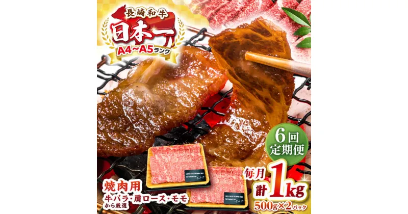 【ふるさと納税】【全6回定期便】【A4〜A5ランク】長崎和牛 焼肉用 1kg（500g×2パック）《壱岐市》【株式会社MEAT PLUS】肉 牛肉 黒毛和牛 焼き肉 焼肉 焼肉用 ギフト 贈答用 ご褒美 冷凍配送 A4 A5[JGH113]