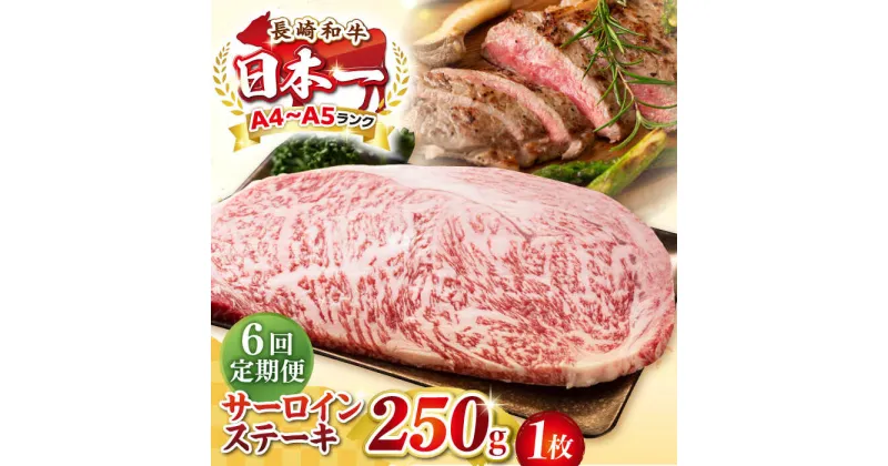 【ふるさと納税】【全6回定期便】【A4〜A5ランク】長崎和牛 サーロインステーキ 250g（250g×1枚）《壱岐市》【株式会社MEAT PLUS】 肉 牛肉 黒毛和牛 サーロイン ステーキ ご褒美 ギフト 贈答用 ご褒美 冷凍配送 A4 A5[JGH125]