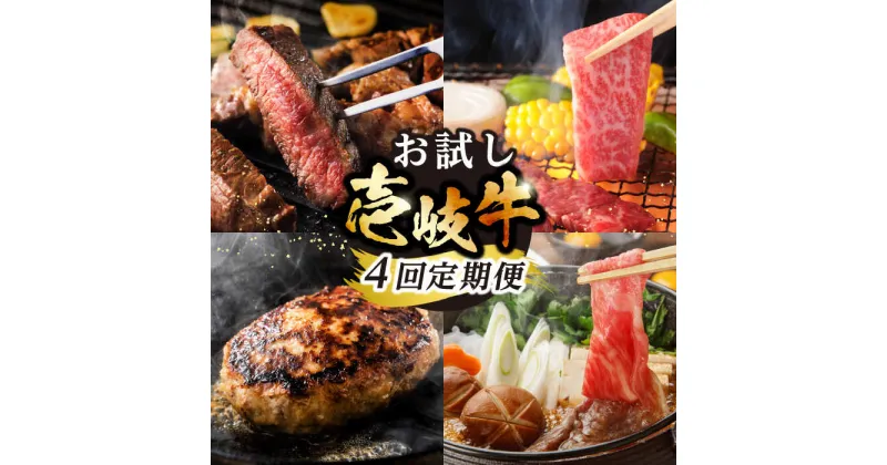 【ふるさと納税】【全4回定期便】 壱岐牛 いろいろお試し定期便（全4種/計約2kg）《壱岐市》【株式会社ヤマグチ】 焼肉 ハンバーグ サーロイン ステーキ すき焼 モモ 冷凍配送 [JCG146]