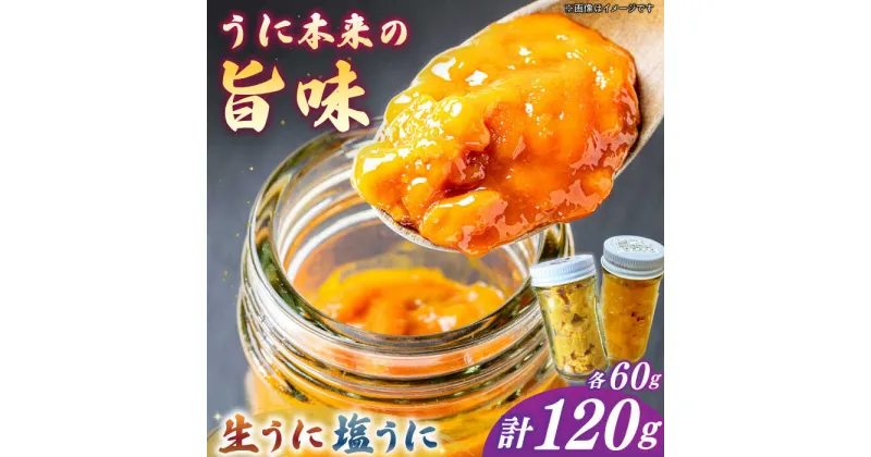 【ふるさと納税】生ウニ＆一汐うに 各60g 食べ比べセット《壱岐市》【馬渡水産】 冷凍配送 ウニ 新鮮 食べ比べ 小分け 贈答 プレゼント 海鮮 魚介 希少 [JAQ024]