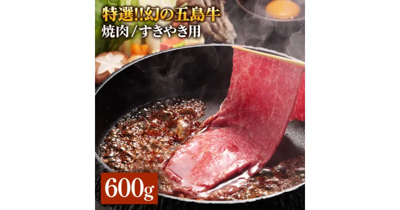 【ふるさと納税】特選 五島牛 焼肉・すき焼き用肩ロース600g【ニク勝】[PBF002]