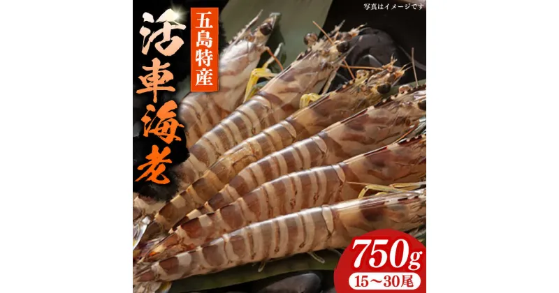 【ふるさと納税】新鮮 五島特産 活車海老 (養殖) 750g (15~30尾) 国産 五島市/拓水 五島事業場 [PCU001]