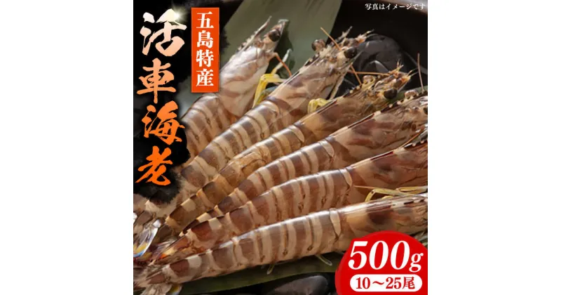 【ふるさと納税】新鮮 五島特産 活車海老 (養殖) 500g (10~25尾) 国産 五島市/拓水 五島事業場【PCU002】