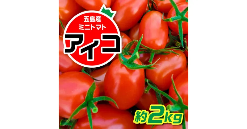 【ふるさと納税】【食卓にトマトで彩りと笑顔を！】甘くて おいしい！ ミニトマト アイコ 約2kg 国産 トマト とまと 完熟 肉厚 新鮮 常温 五島市 / 野口とまと [PCJ001]