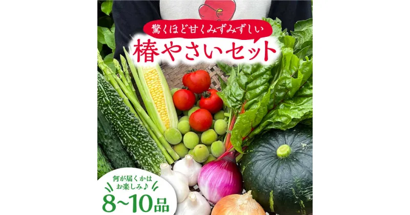 【ふるさと納税】何が届くかはお楽しみ 椿やさいの野菜セット(8-10品)詰合せ 五島市/いきいきファーム [PCY001]