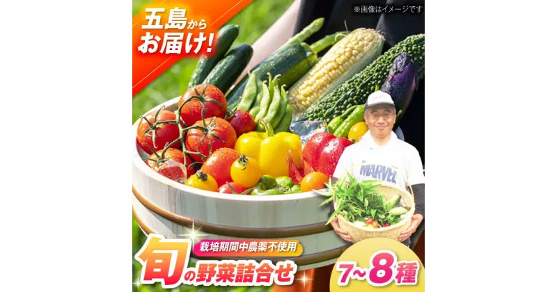 【ふるさと納税】【一人暮らしに】有機農法・旬の野菜詰め合わせ 五島市/ぷらっと農園 [PDS005]