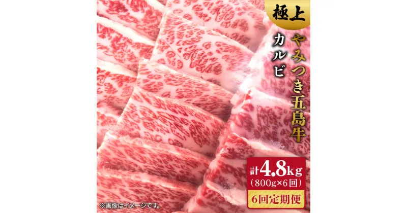 【ふるさと納税】【全6回定期便】五島牛 カルビ800g【肉のマルヒサ】 [PCV024]