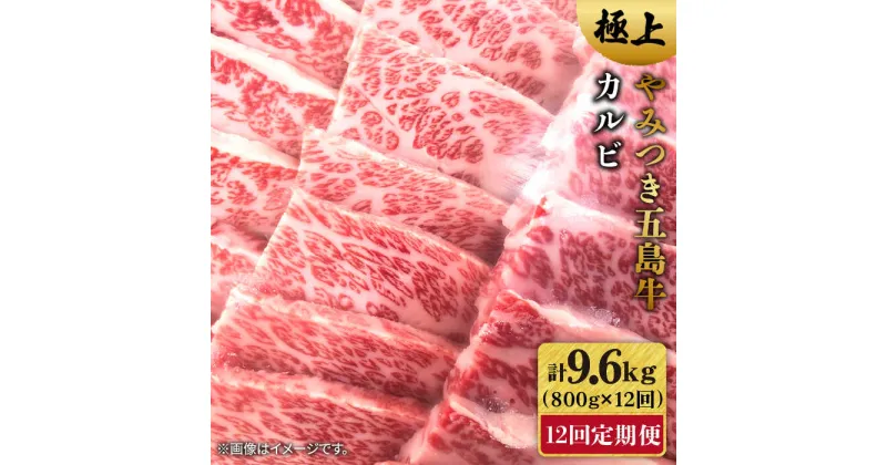 【ふるさと納税】【全12回定期便】五島牛 カルビ800g【肉のマルヒサ】 [PCV033]