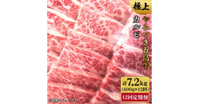 【ふるさと納税】【全12回定期便】五島牛 カルビ600g【肉のマルヒサ】 [PCV034]