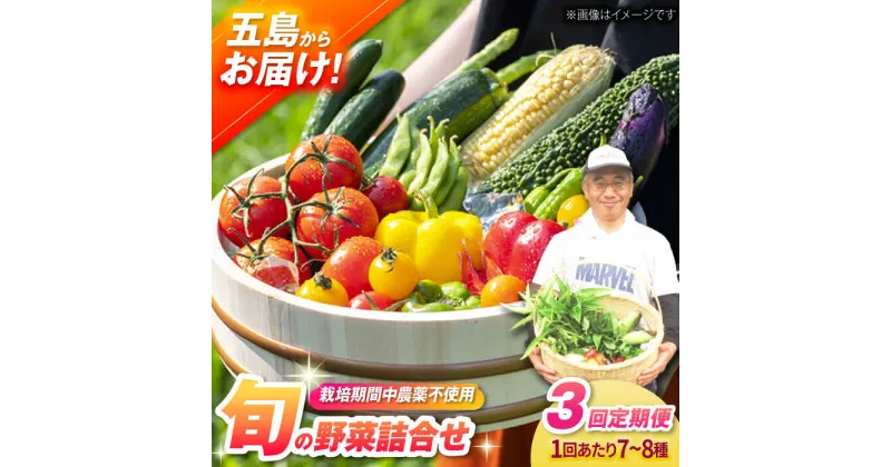 【ふるさと納税】【全3回定期便】有機農法・旬の野菜詰め合わせ 五島市/ぷらっと農園 [PDS007]