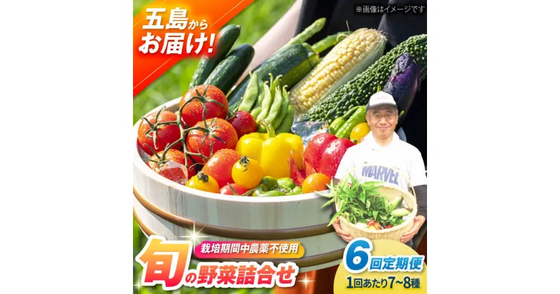 【ふるさと納税】【全6回定期便】有機農法・旬の野菜詰め合わせ 五島市/ぷらっと農園 [PDS008]