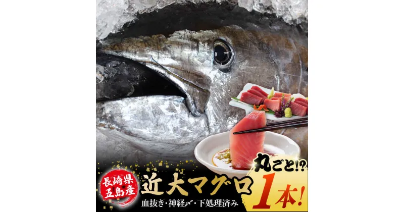 【ふるさと納税】長崎県五島産 近大マグロまるごと1本 (40kg以上) 冷蔵【ツナドリーム五島】 [PES001]