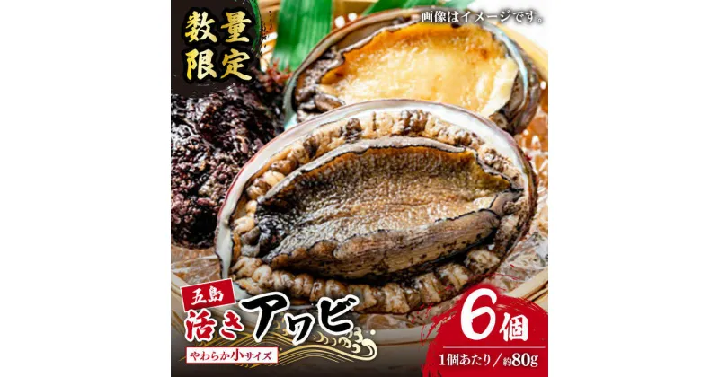 【ふるさと納税】【日付指定必須】【エリア限定】【数量限定】五島産養殖活アワビ6個 小サイズ あわび 鮑 五島市/都工業 [PEX002]