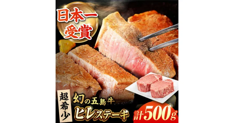 【ふるさと納税】五島牛ヒレ 250g×2枚 牛肉 国産 希少 五島市/ごとう農業協同組合[PAF032]