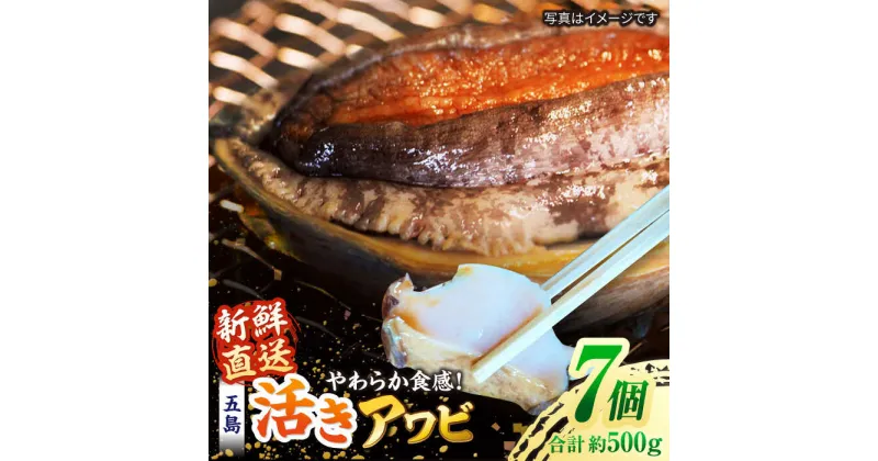 【ふるさと納税】【日付指定必須】【配送エリア限定】五島産養殖活きアワビ 7個セット 約500g あわび 鮑 五島市/（有）都工業[PEX004]