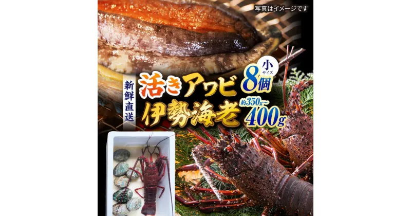 【ふるさと納税】【日付指定必須】【配送エリア限定】五島産養殖活きアワビ 8個 と 伊勢えび（約350g～400g）セット あわび 鮑 イセエビ 海老 五島市 /（有）都工業[PEX005]