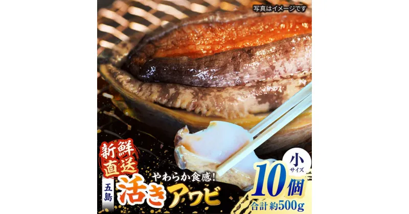 【ふるさと納税】【日付指定必須】【配送エリア限定】五島産養殖活きアワビ 10個セット 約500g BBQ あわび 鮑 五島市/（有）都工業[PEX003]