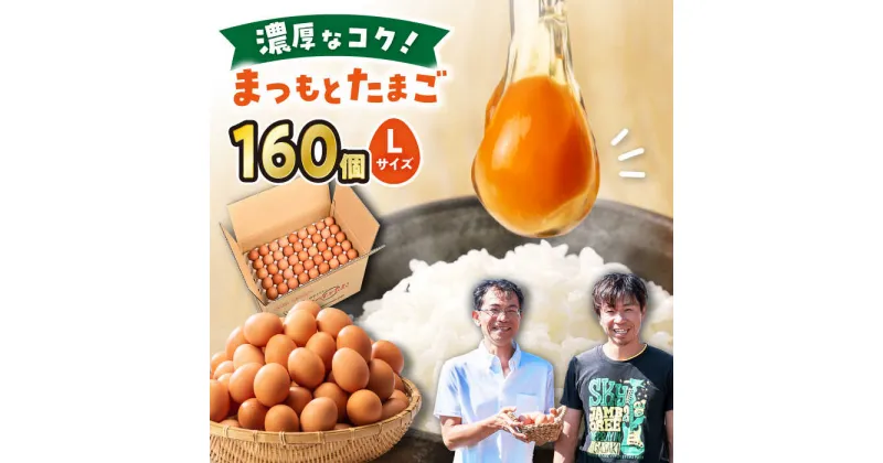 【ふるさと納税】【 Lサイズ 160個 】卵で違いを生みたいなら「 まつもとたまご 」＜松本養鶏場＞[CCD013] 長崎 西海 卵 生卵 新鮮 卵かけごはん 安全 安心 美味しい こだわり 少数飼い 贈答 ギフト Lサイズ 赤玉