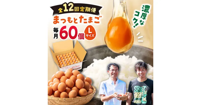 【ふるさと納税】【 Lサイズ 60個 ×12回 定期便 】 まつもとたまご 60個 ＜松本養鶏場＞[CCD008] 長崎 西海 卵 生卵 新鮮 卵かけごはん 安全 安心 美味しい こだわり 少数飼い 定期 Lサイズ 赤玉 贈答 贈り物 ギフト