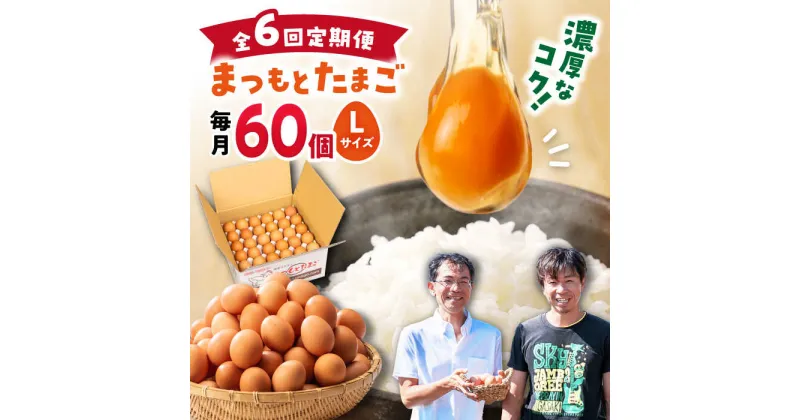 【ふるさと納税】【6回定期便】家族のために選びたい「 まつもとたまご 」60個＜松本養鶏場＞[CCD007] 長崎 西海 卵 生卵 新鮮 卵かけごはん 安全 安心 美味しい こだわり 少数飼い 定期 Lサイズ 赤玉