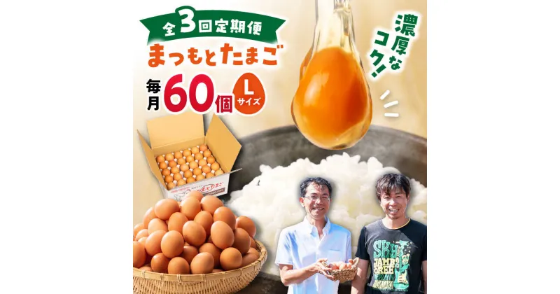 【ふるさと納税】【3回定期便】家族のために選びたい「 まつもとたまご 」60個＜松本養鶏場＞[CCD006] 長崎 西海 卵 生卵 新鮮 卵かけごはん 安全 安心 美味しい こだわり 少数飼い 定期 Lサイズ 赤玉