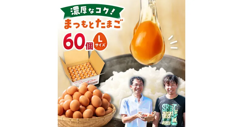 【ふるさと納税】【60個】家族のために選びたい「 まつもとたまご 」＜松本養鶏場＞[CCD005] 長崎 西海 卵 生卵 新鮮 卵かけごはん 安全 安心 美味しい こだわり 少数飼い 赤玉 Lサイズ