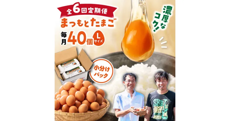 【ふるさと納税】【月1回 Lサイズ 40個 ×6回 定期便 】家族のために選びたい「 まつもとたまご 」計240個＜松本養鶏場＞[CCD003] 長崎 西海 卵 生卵 新鮮 卵かけごはん 安全 安心 美味しい こだわり 少数飼い 定期 小分けパック 赤玉